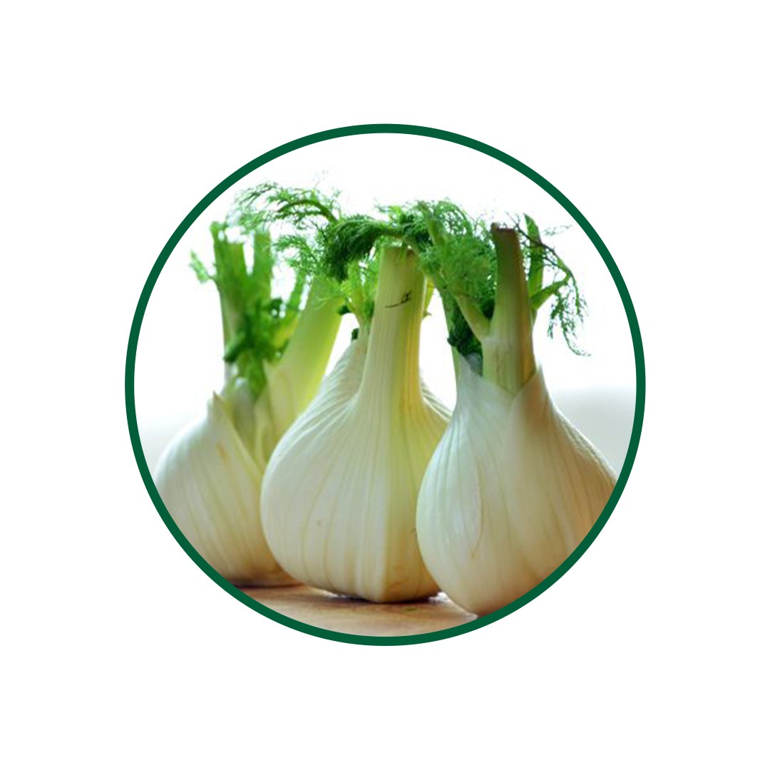 1 Kg. Rezene Tohumu Çayi