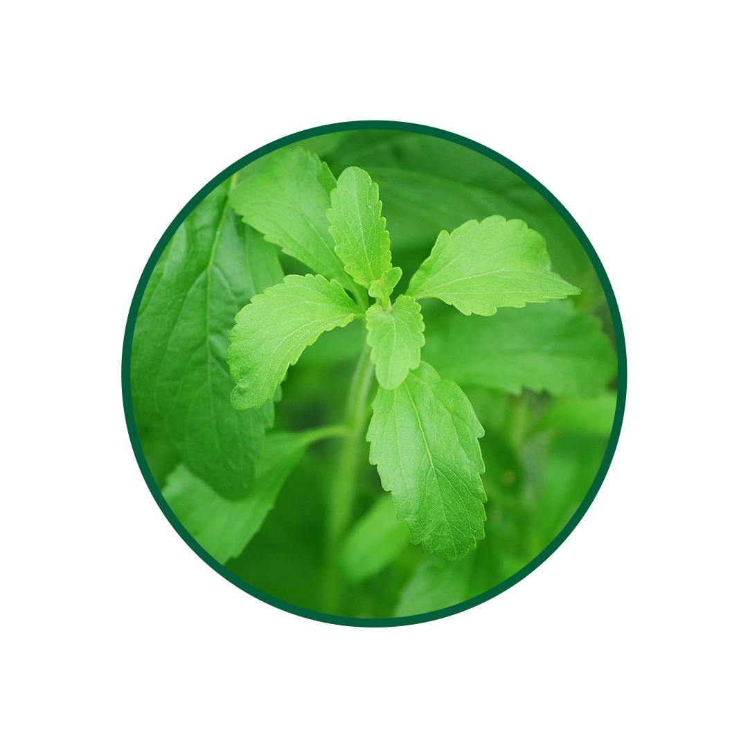 1 Kg. Stevia Çayi