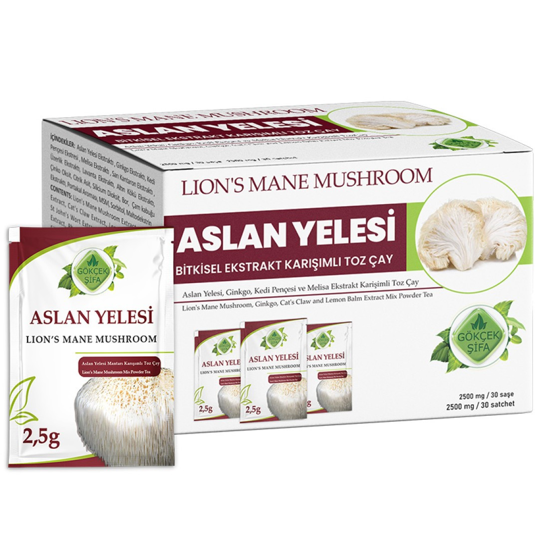 Aslan Yelesi Sase