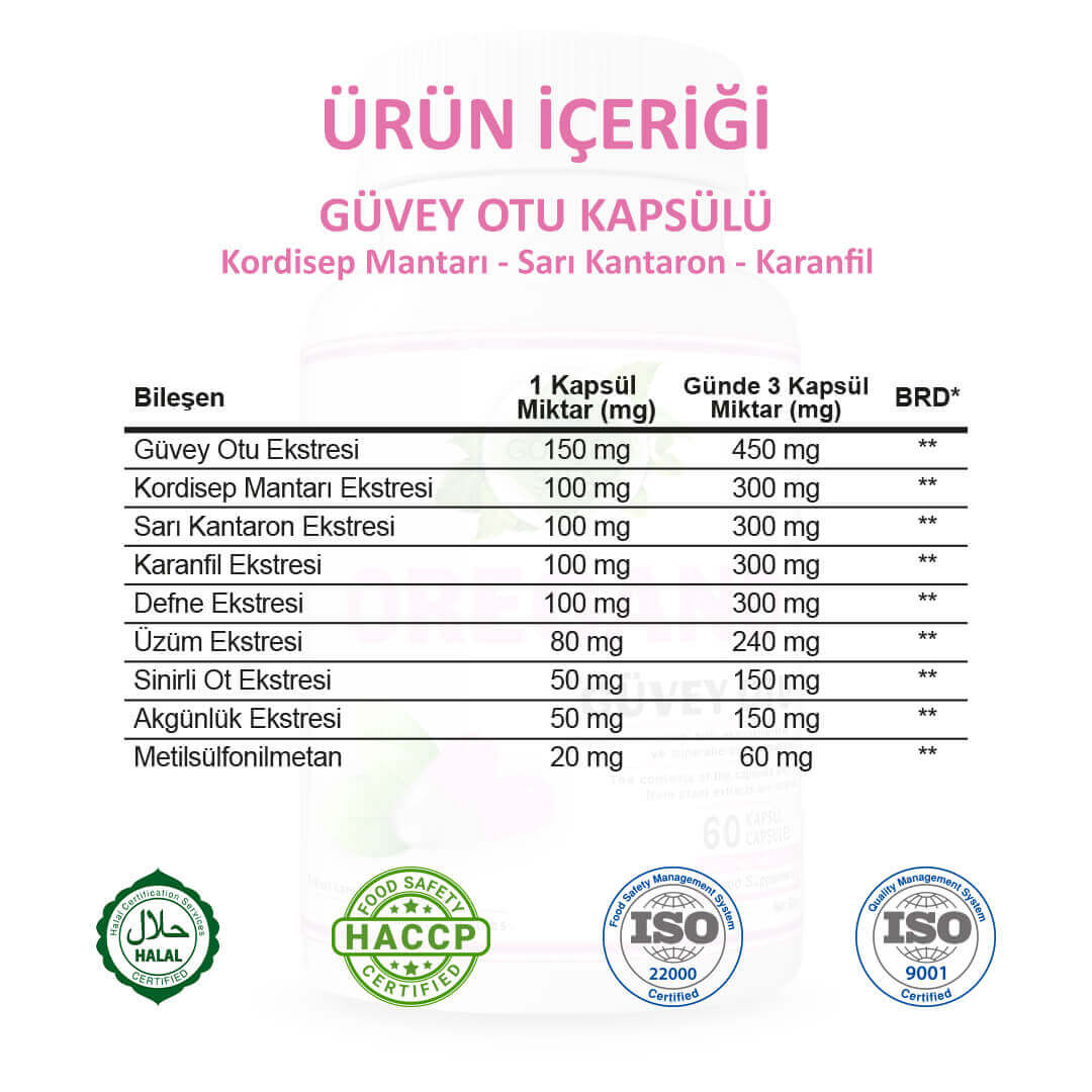 Güvey Otu (Oregano) Kapsül - Standard - Görsel 2