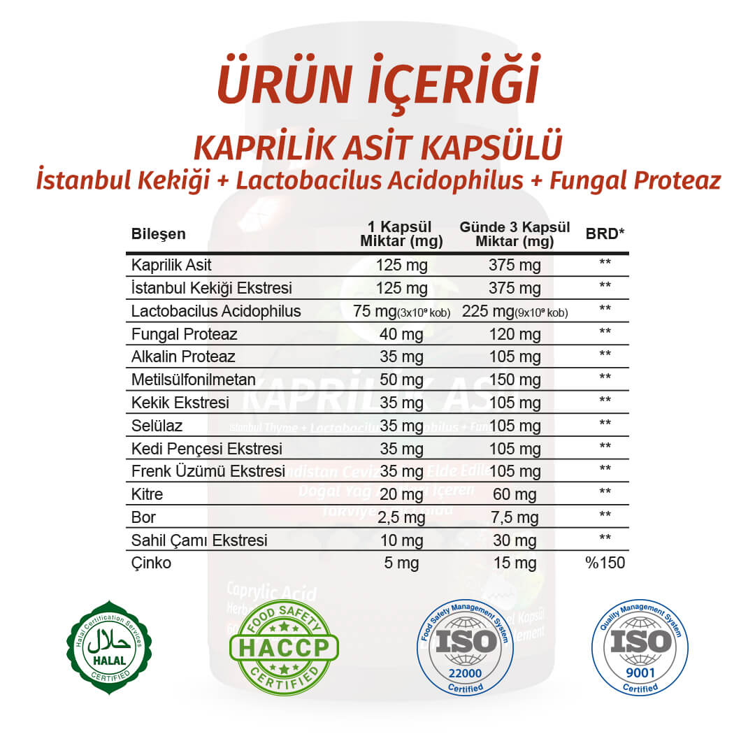 Kaprilik Asit (Caprylic Acid) Kapsül - Standard - Görsel 2