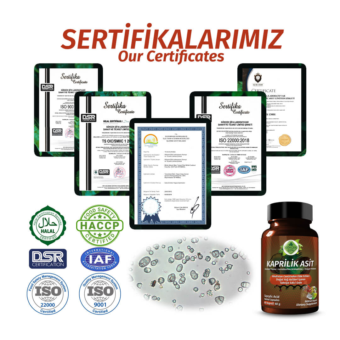 Kaprilik Asit (Caprylic Acid) Kapsül - Standard - Görsel 5