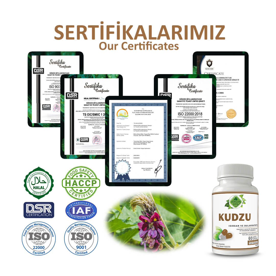 Kudzu Kapsül - Standard - Görsel 5