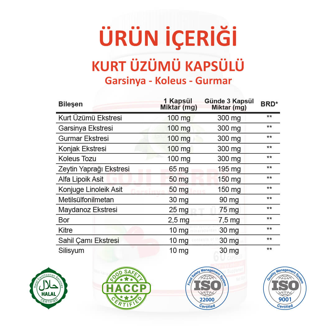 Kurt Üzümü (Goji Berry) Kapsül - Standard - Görsel 2