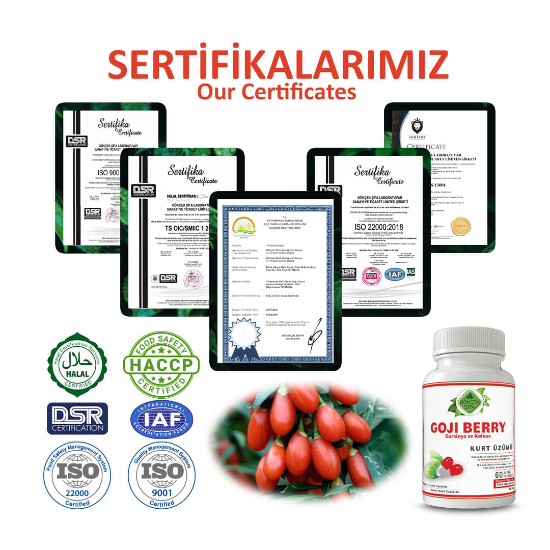 Kurt Üzümü (Goji Berry) Kapsül - Standard - Görsel 5