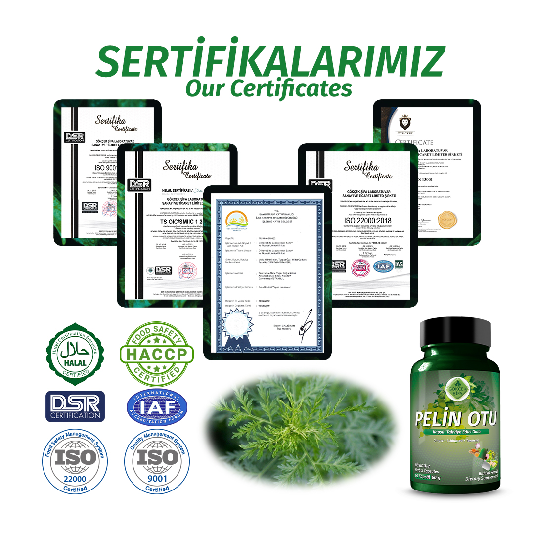 Pelin Otu Kapsül - Standard - Görsel 5