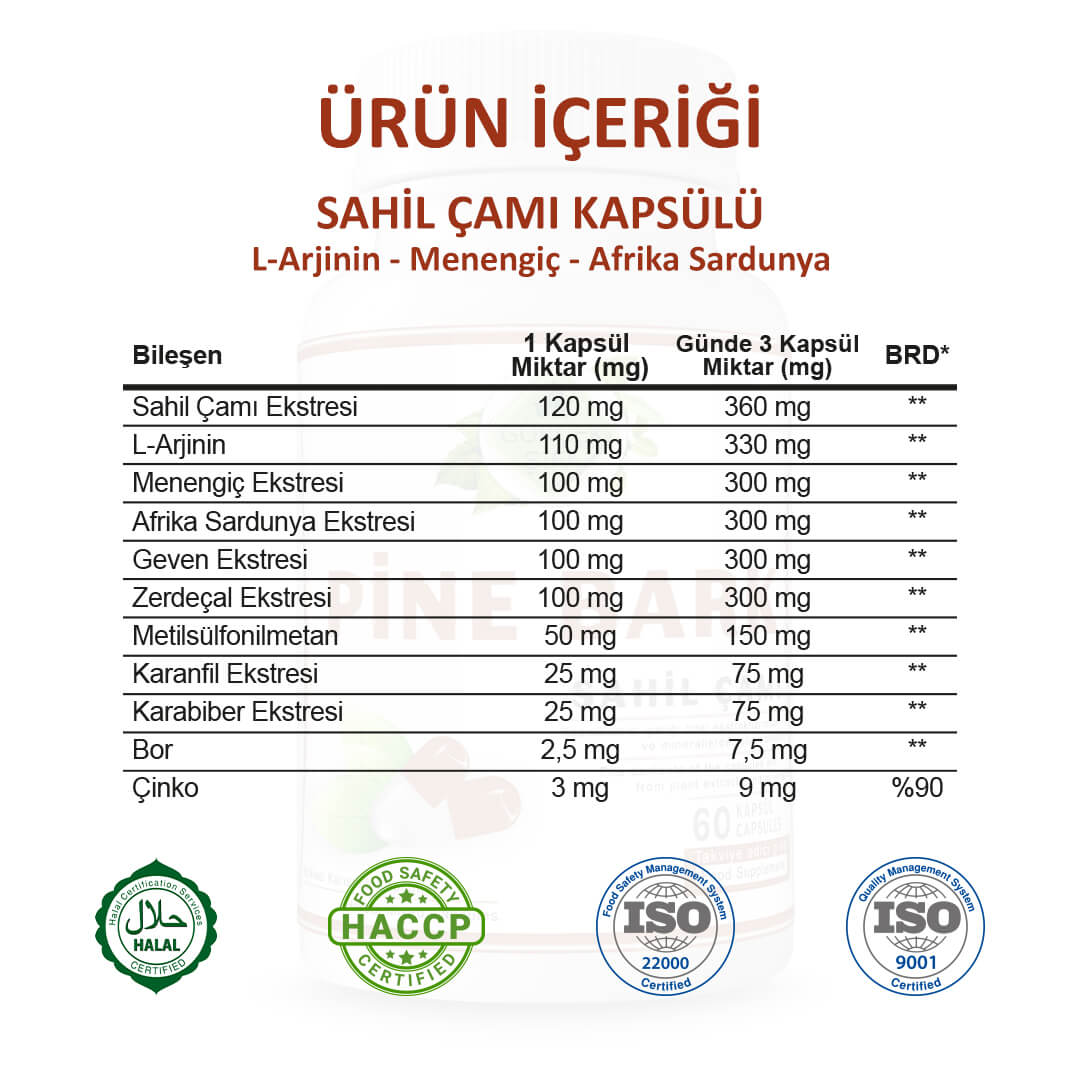 Sahil Çami (Pine Bark) Kapsül - Standard - Görsel 2
