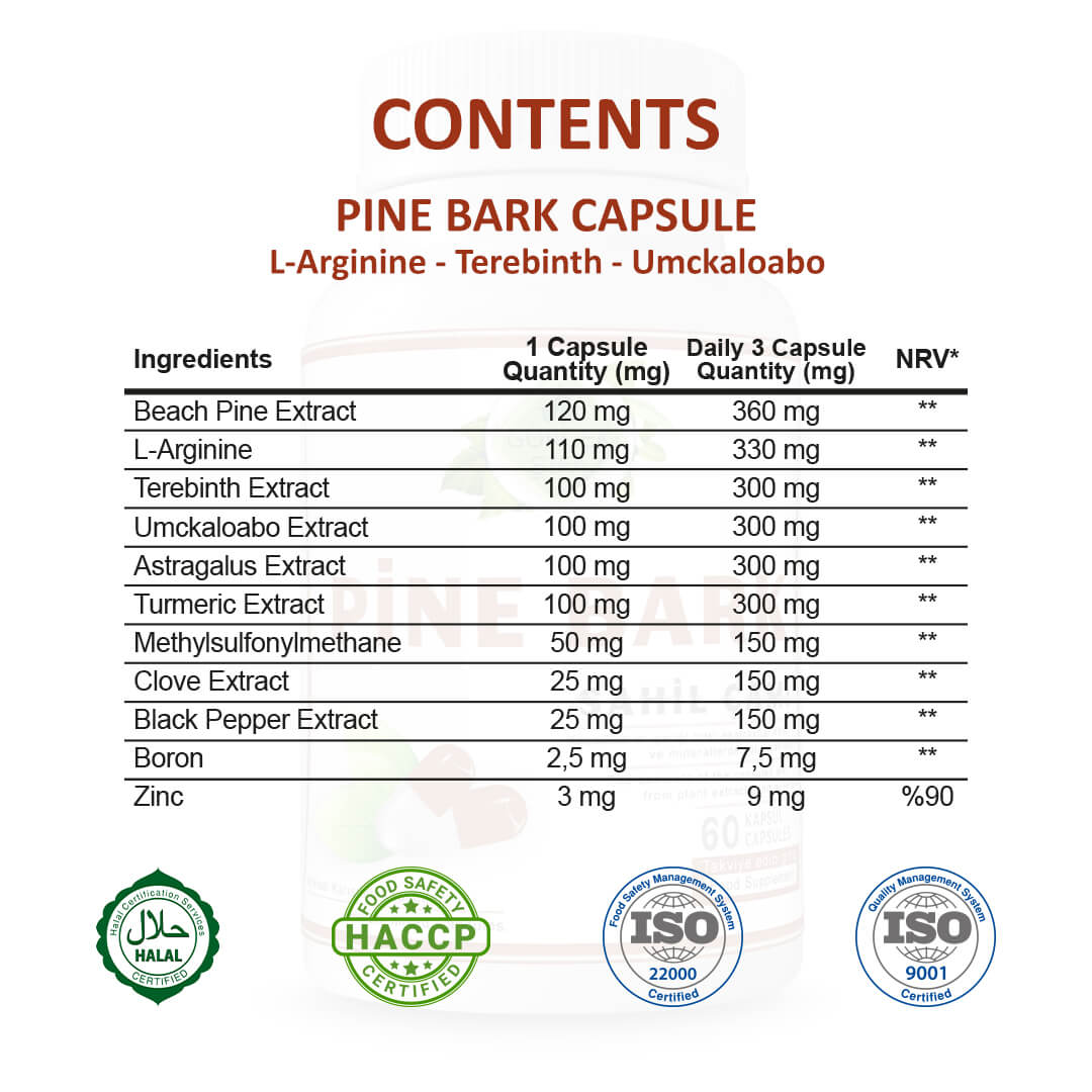 Sahil Çami (Pine Bark) Kapsül - Standard - Görsel 3