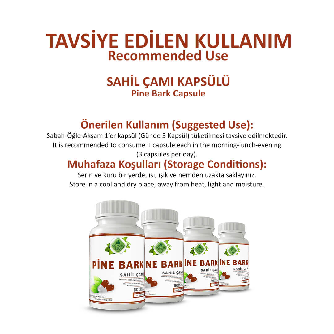 Sahil Çami (Pine Bark) Kapsül - Standard - Görsel 4