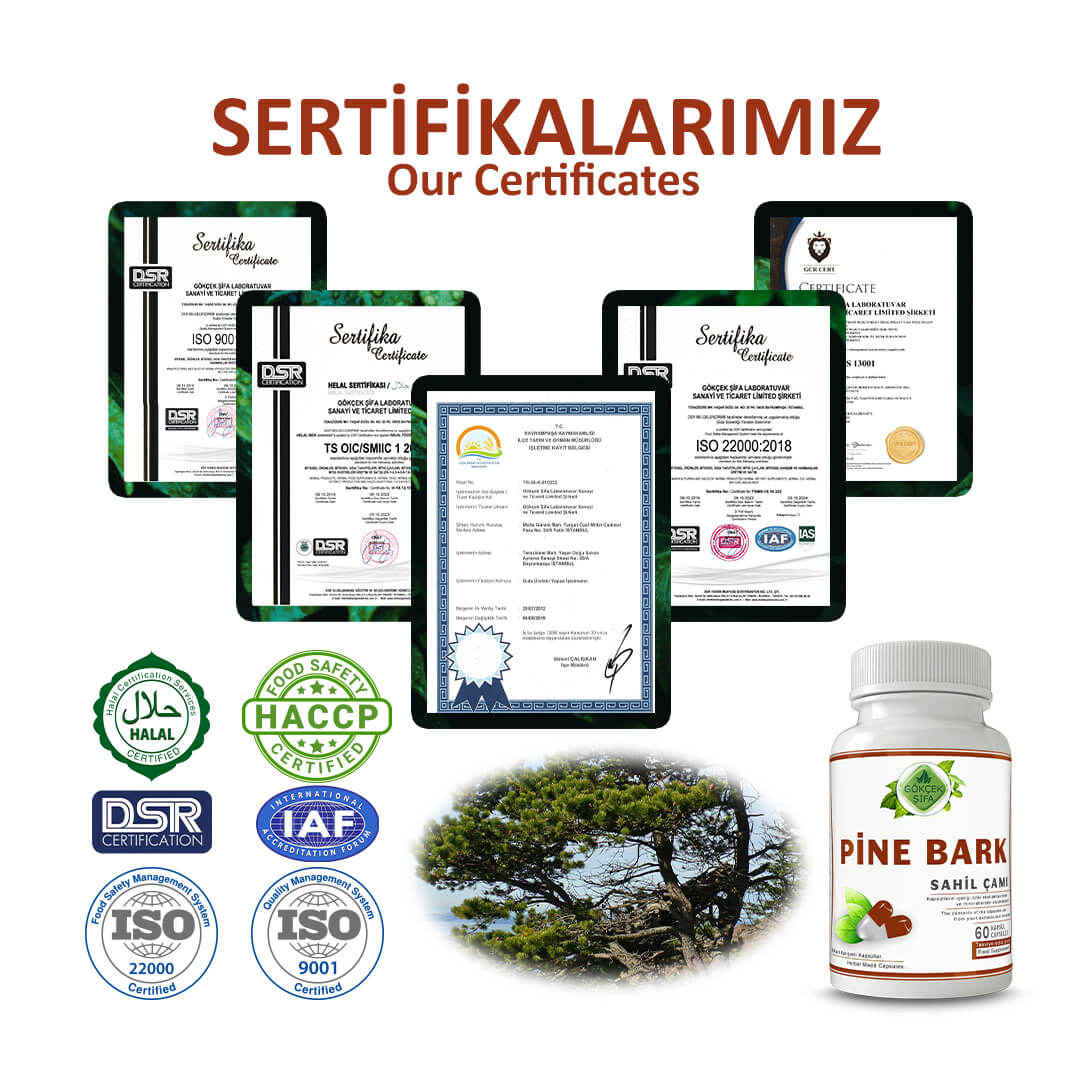 Sahil Çami (Pine Bark) Kapsül - Standard - Görsel 5