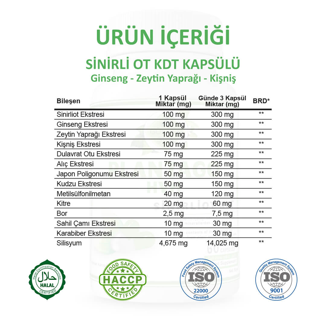 Sinirliot KDT (Plantago HVH) Kapsül - Standard - Görsel 2