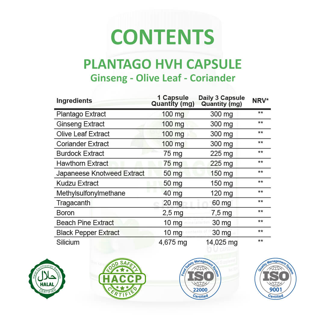 Sinirliot KDT (Plantago HVH) Kapsül - Standard - Görsel 3