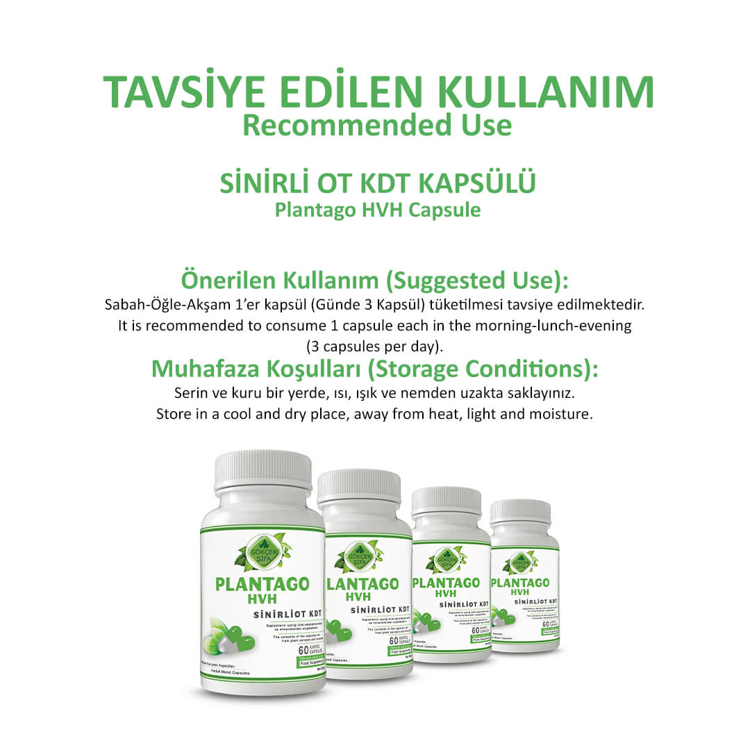 Sinirliot KDT (Plantago HVH) Kapsül - Standard - Görsel 4