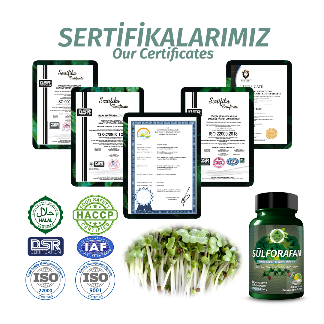 Sülforafan Brokoli (Sulforaphane Broccoli) Kapsül - Standard - Görsel 7