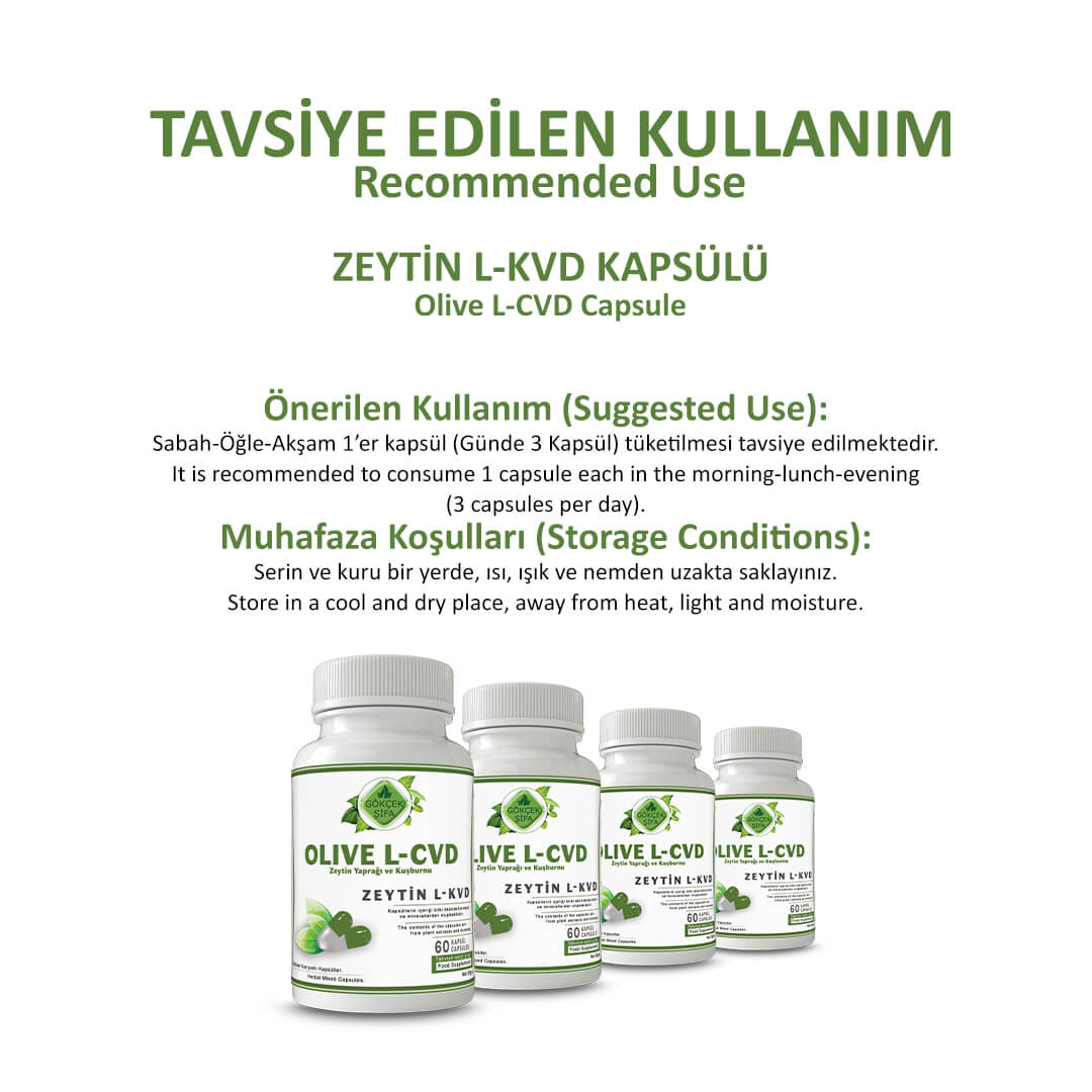 Zeytin L-KVD (Olive L-CVD) Kapsül - Standard - Görsel 4
