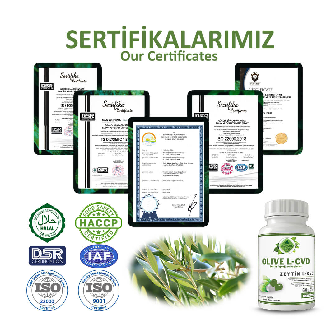 Zeytin L-KVD (Olive L-CVD) Kapsül - Standard - Görsel 5
